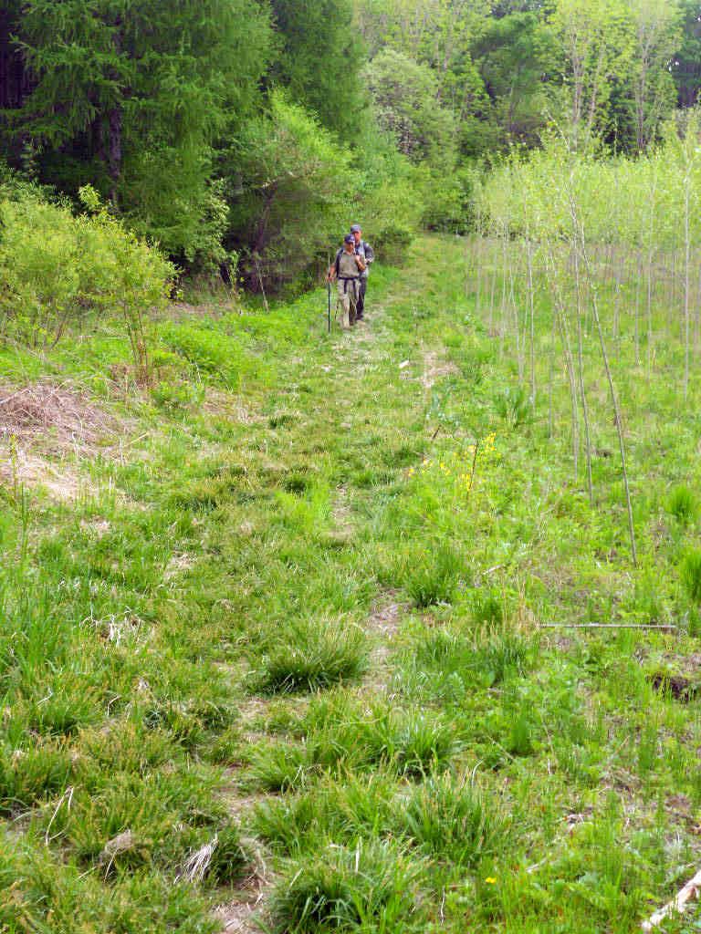 5 26С��--��Ȫ���� 093.jpg