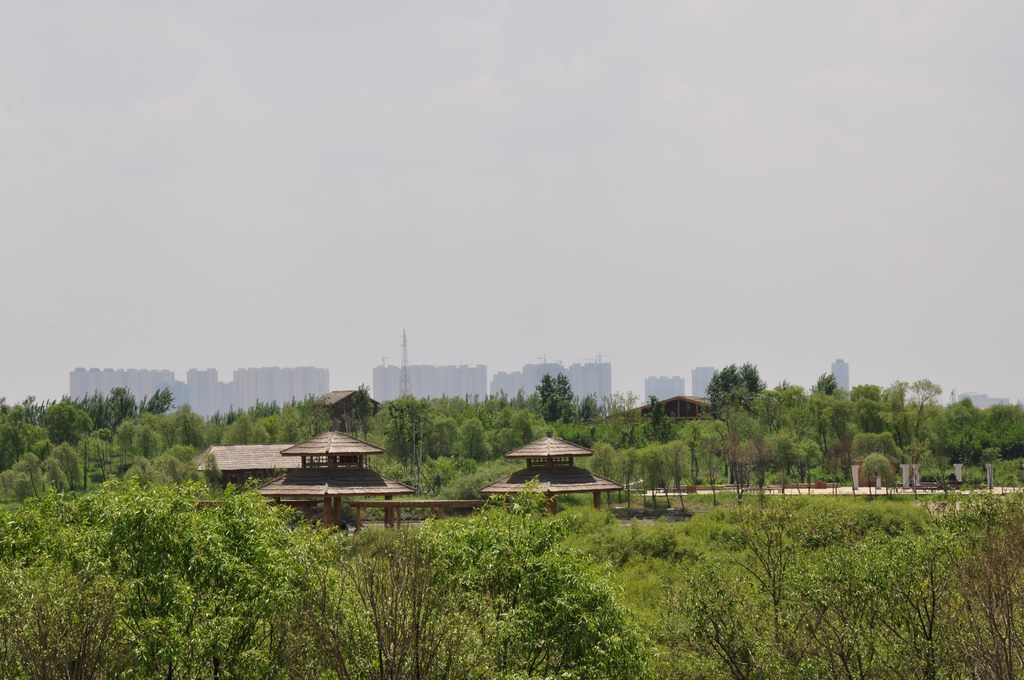 DSC_0148.jpg