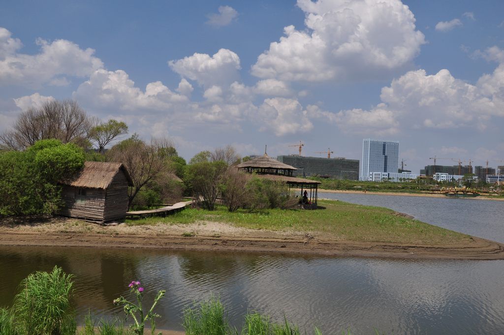 DSC_0214.jpg