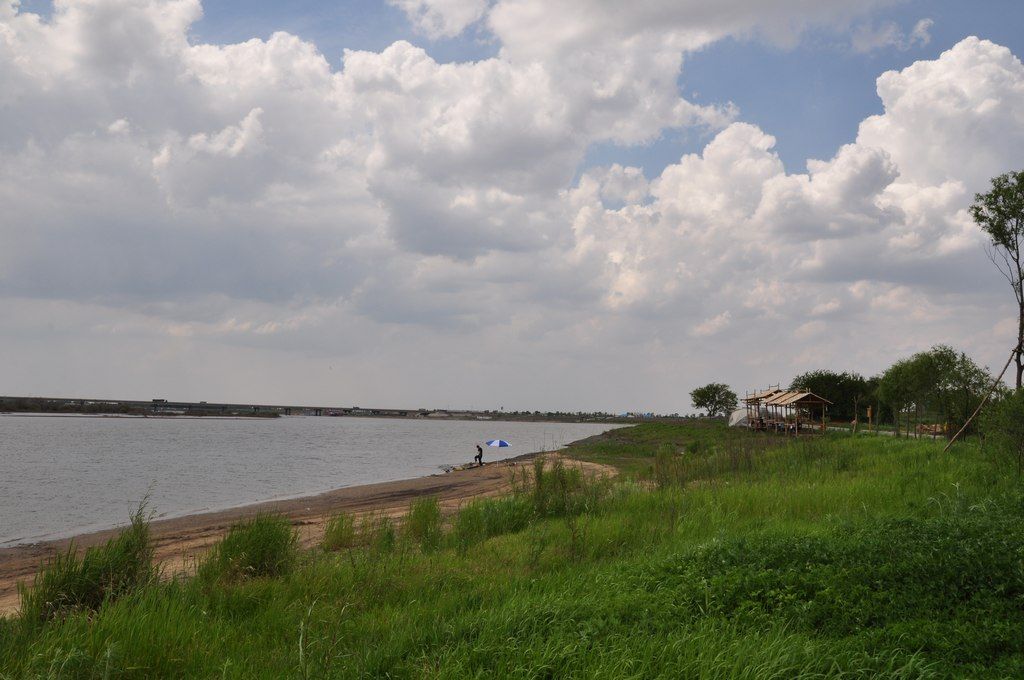 DSC_0206.jpg