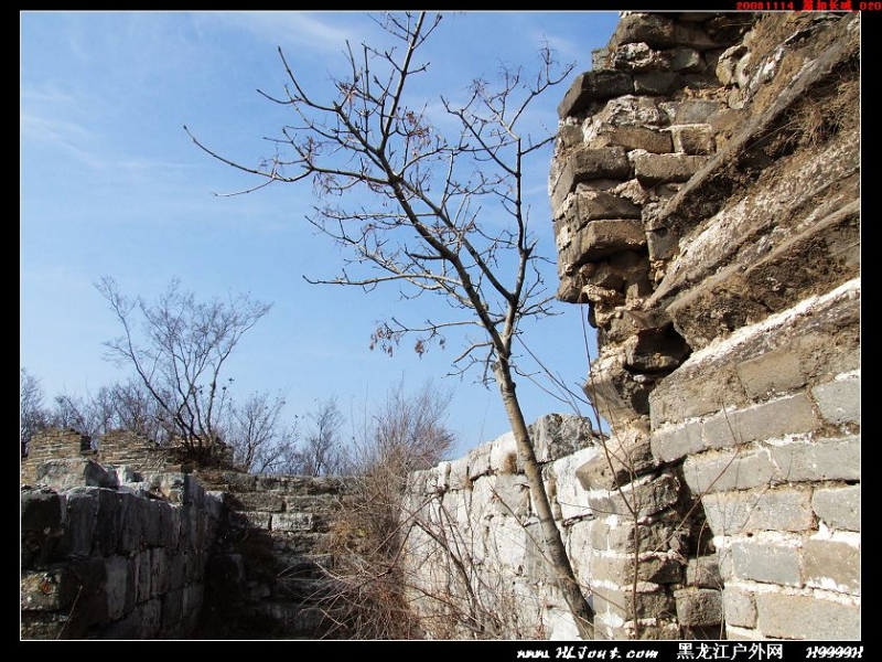 20081114_���۳���_020.jpg