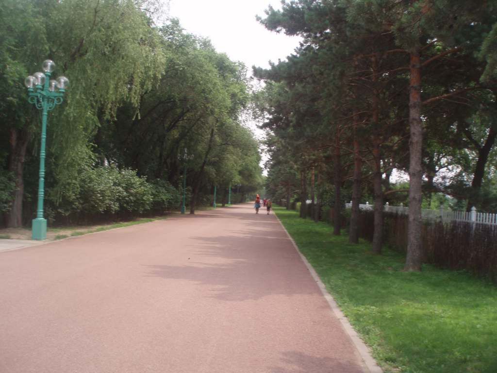 P1010024.jpg