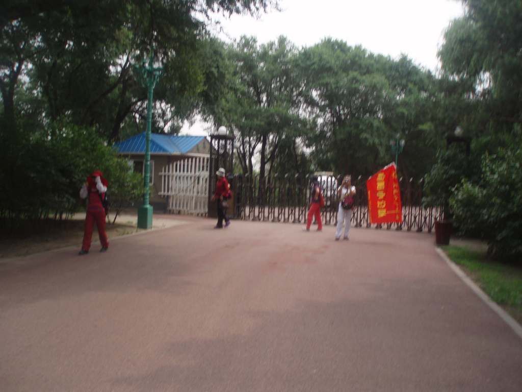 P1010025.jpg