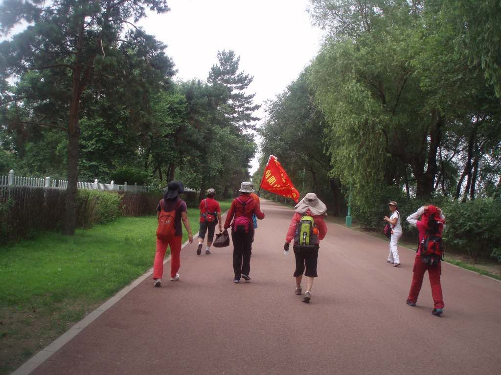 P1010029.jpg