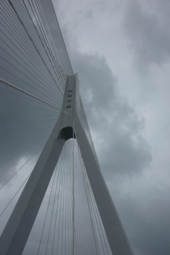 ��ת P1050848.JPG