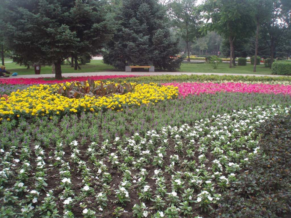 P1010025.jpg