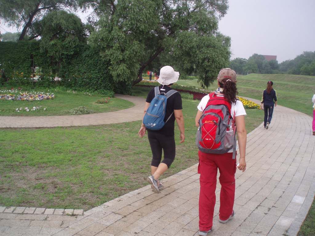 P1010015.jpg