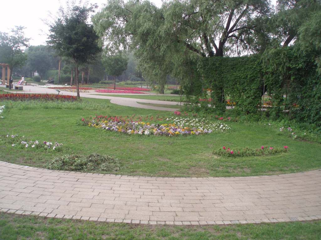 P1010016.jpg