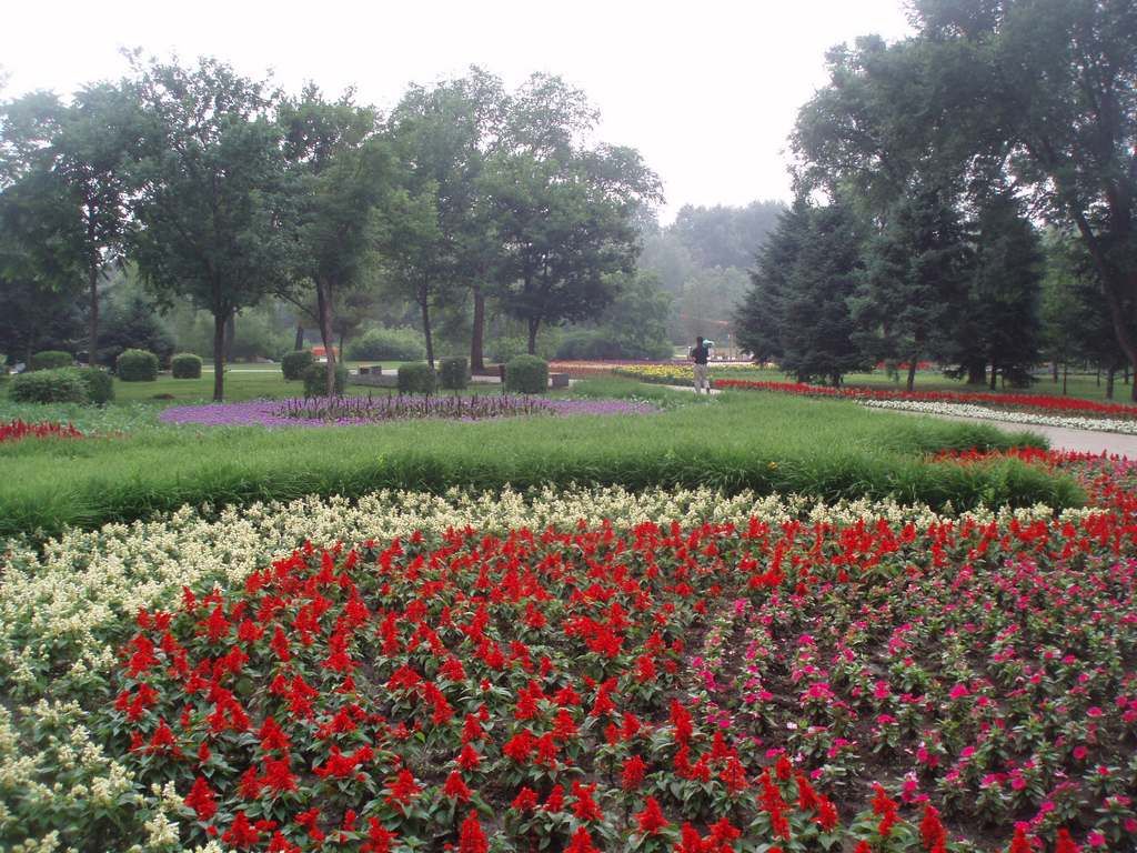 P1010028.jpg