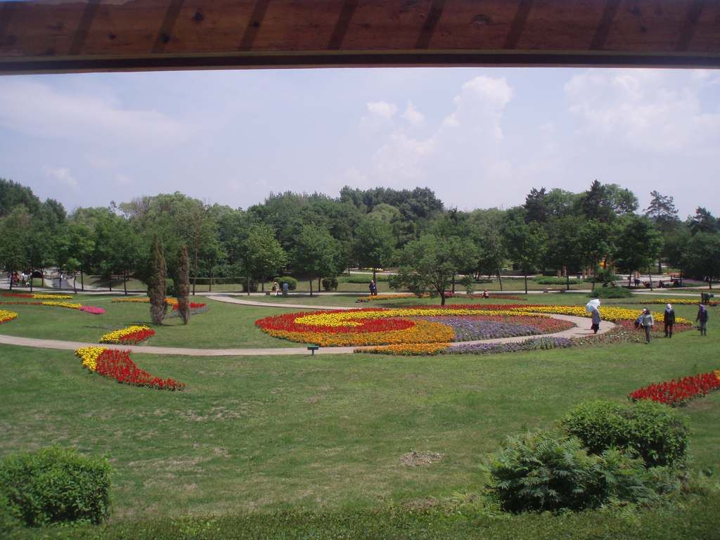 P1010004.jpg