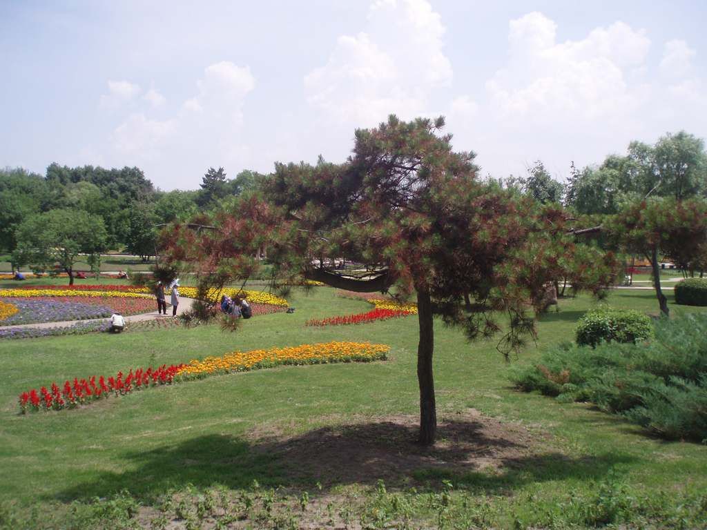 P1010005.jpg