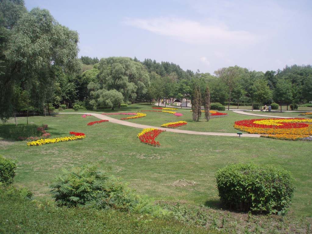 P1010006.jpg