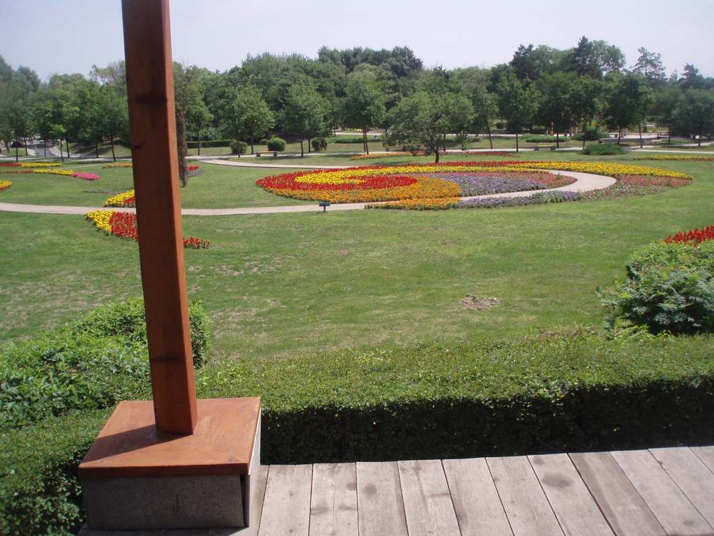 P1010003.jpg
