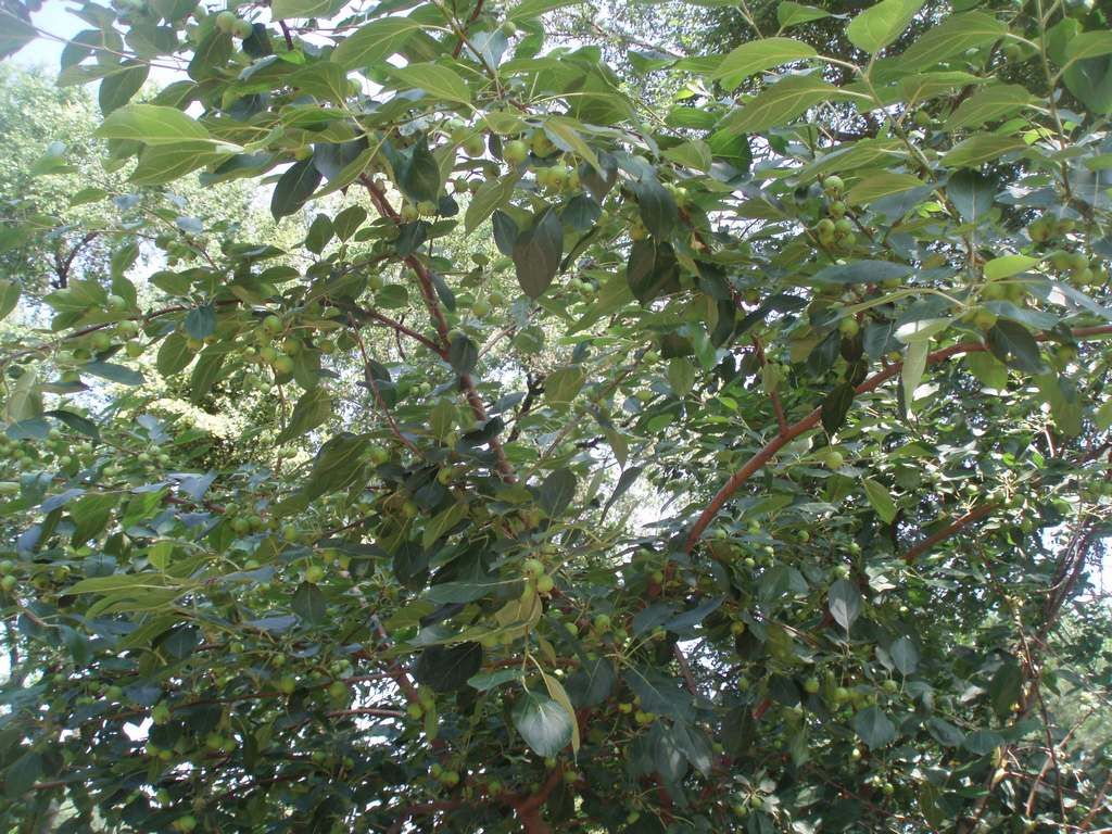 P1010002.jpg