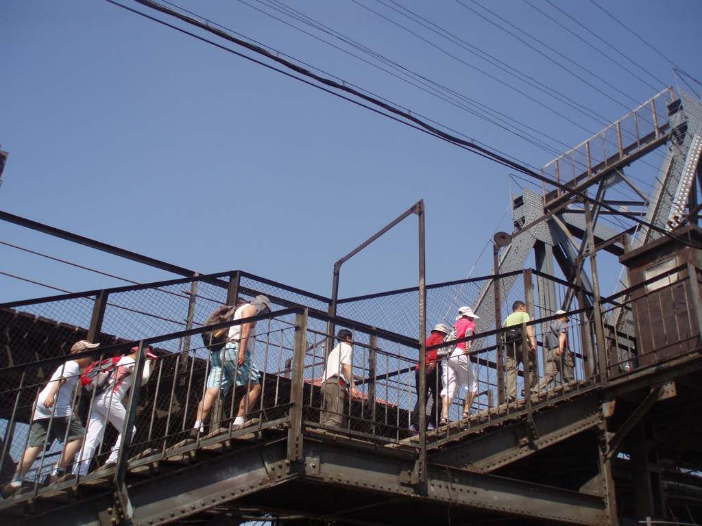P1010016.jpg
