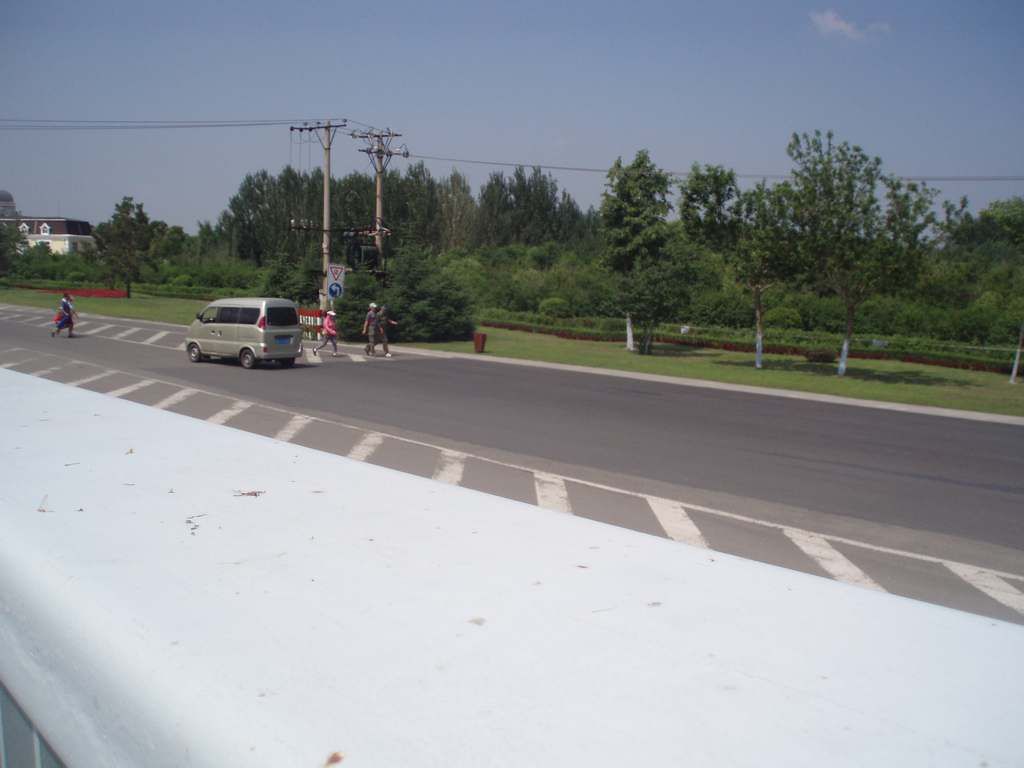 P1010031.jpg