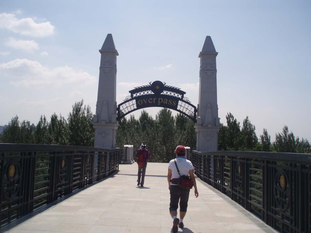 P1010056.jpg