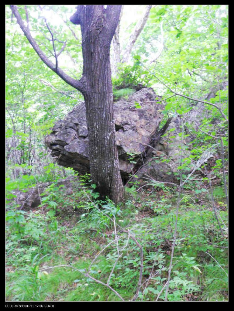 nEO_IMG_ƽ��ɽ 096.jpg