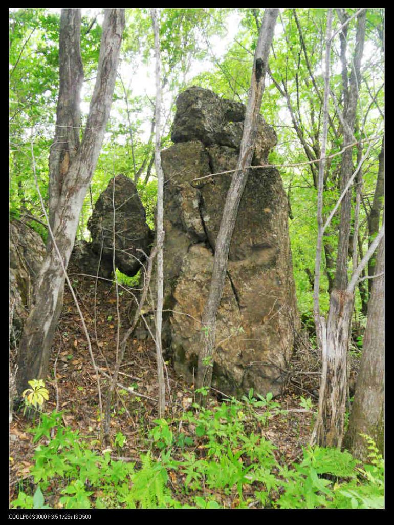 nEO_IMG_ƽ��ɽ 104.jpg