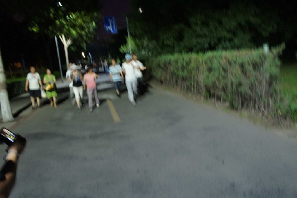 DSC02810.jpg