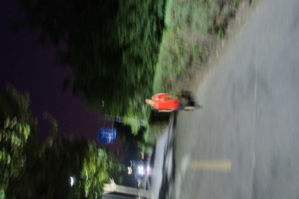 DSC02822.jpg