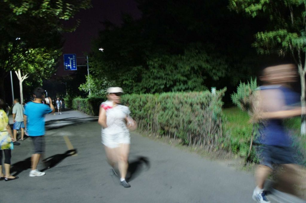 DSC02831.jpg