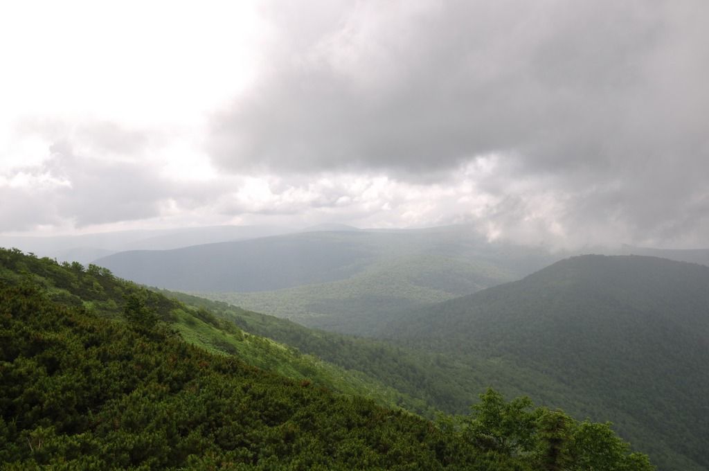 DSC_0277.jpg