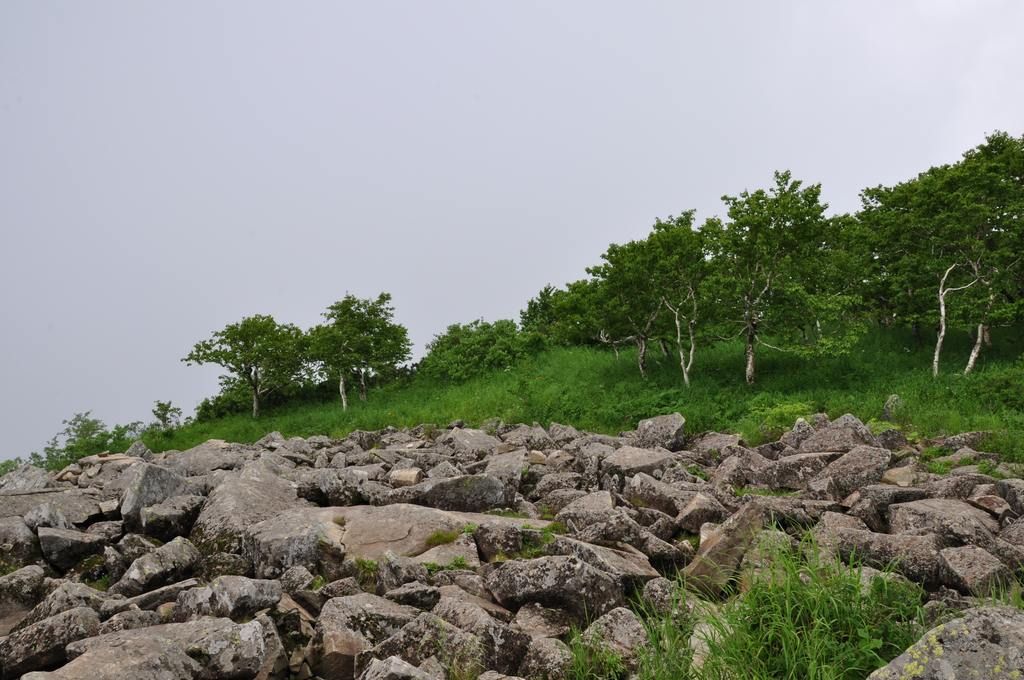 DSC_0292.jpg