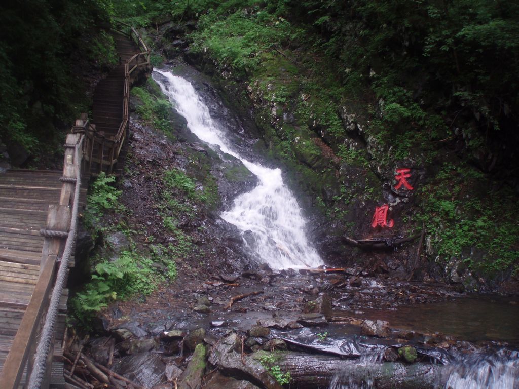 P1010071.jpg