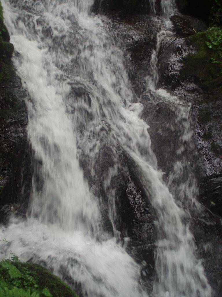 P1010084.jpg