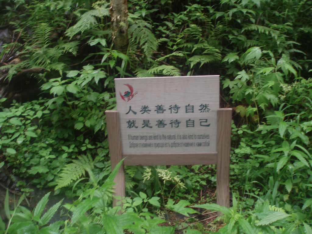 P1010068.jpg