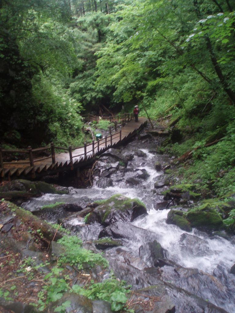 P1010077.jpg