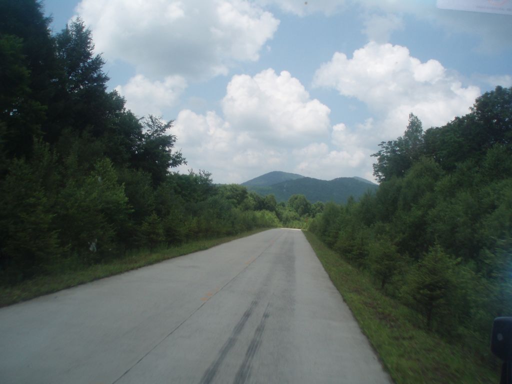 P1010128.jpg