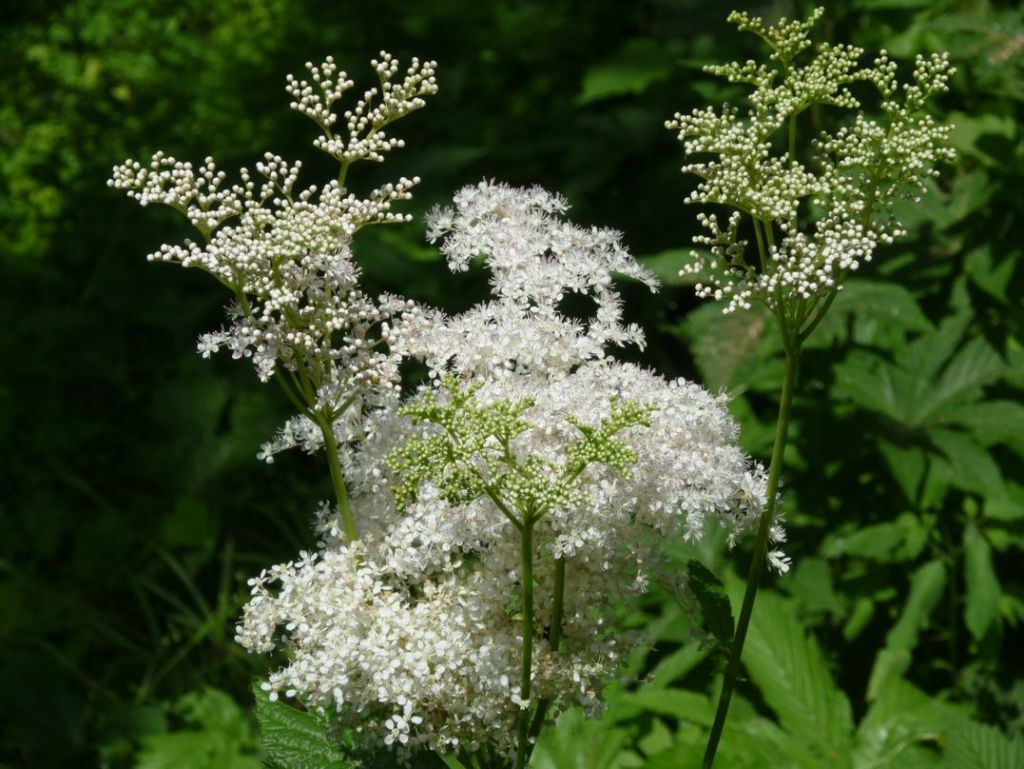 ������С P1070245.JPG