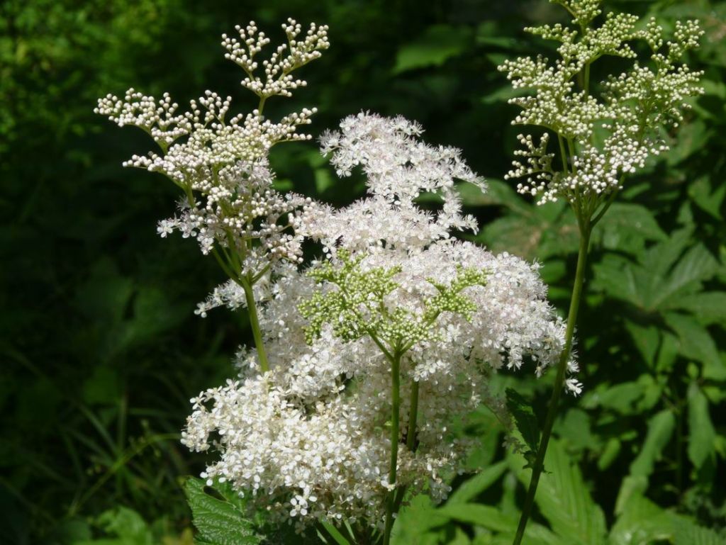 ������С P1070246.JPG