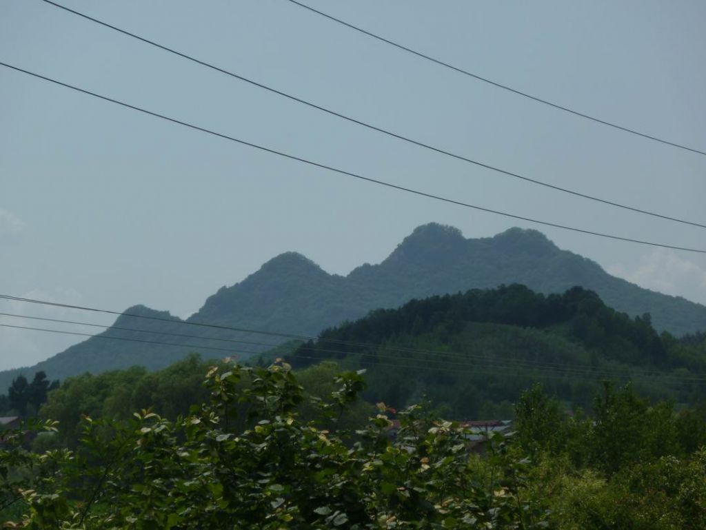 ������С P1070368.JPG