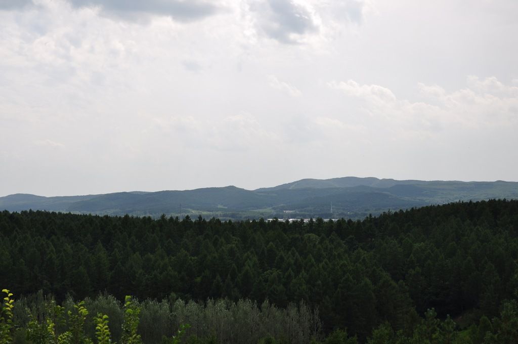 DSC_0008.jpg