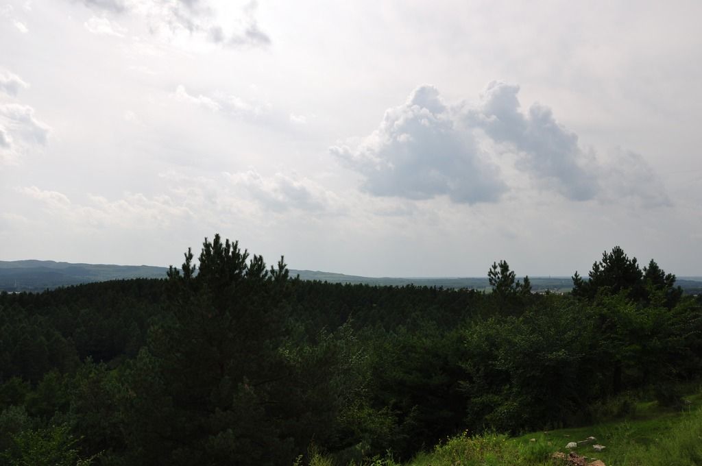 DSC_0009.jpg