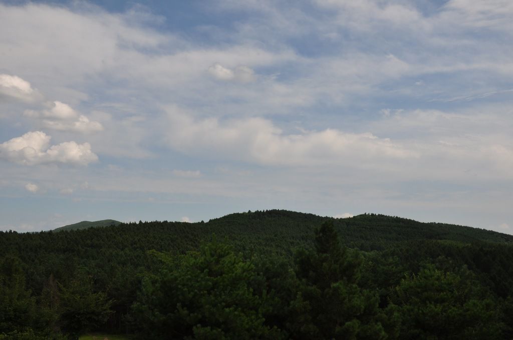 DSC_0010.jpg