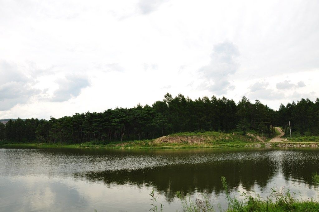 DSC_0045.jpg