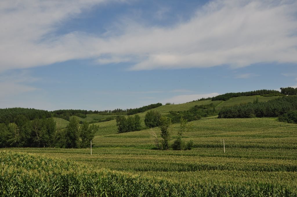 DSC_1033.jpg