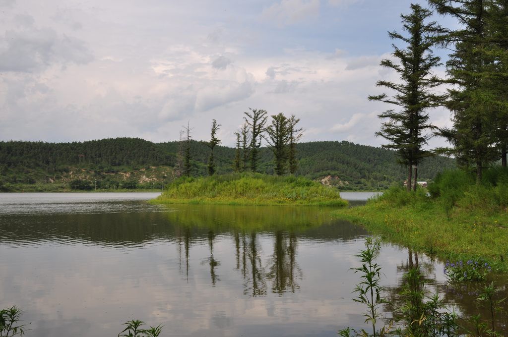 DSC_0021.jpg