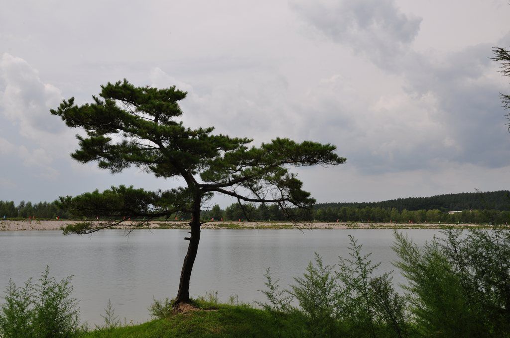 DSC_0024.jpg