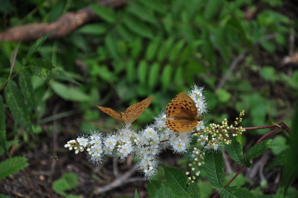DSC_1112.jpg
