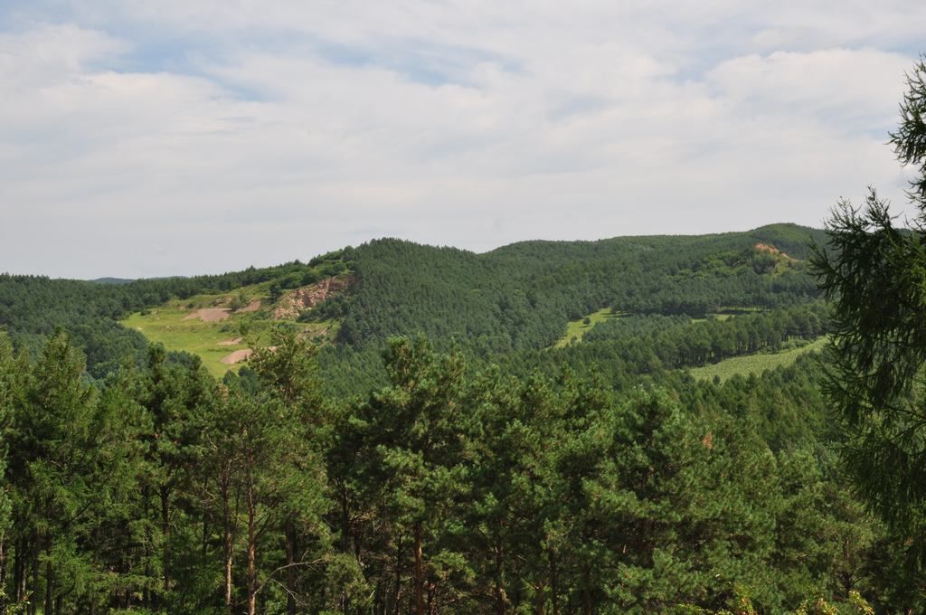 DSC_1069.jpg