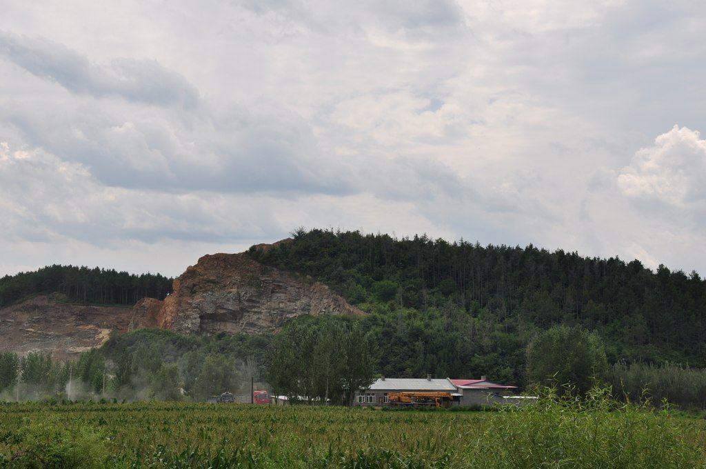 DSC_1117.jpg