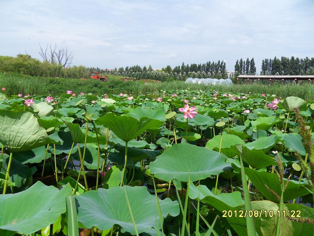 SDC11121.jpg