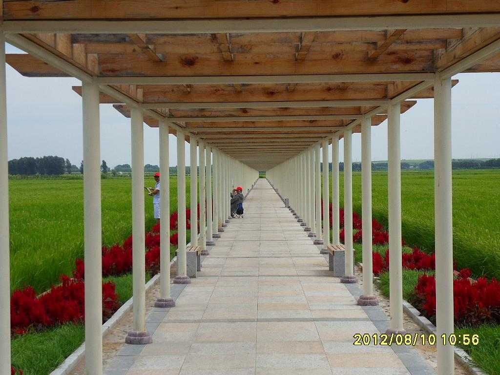 SDC11107.jpg