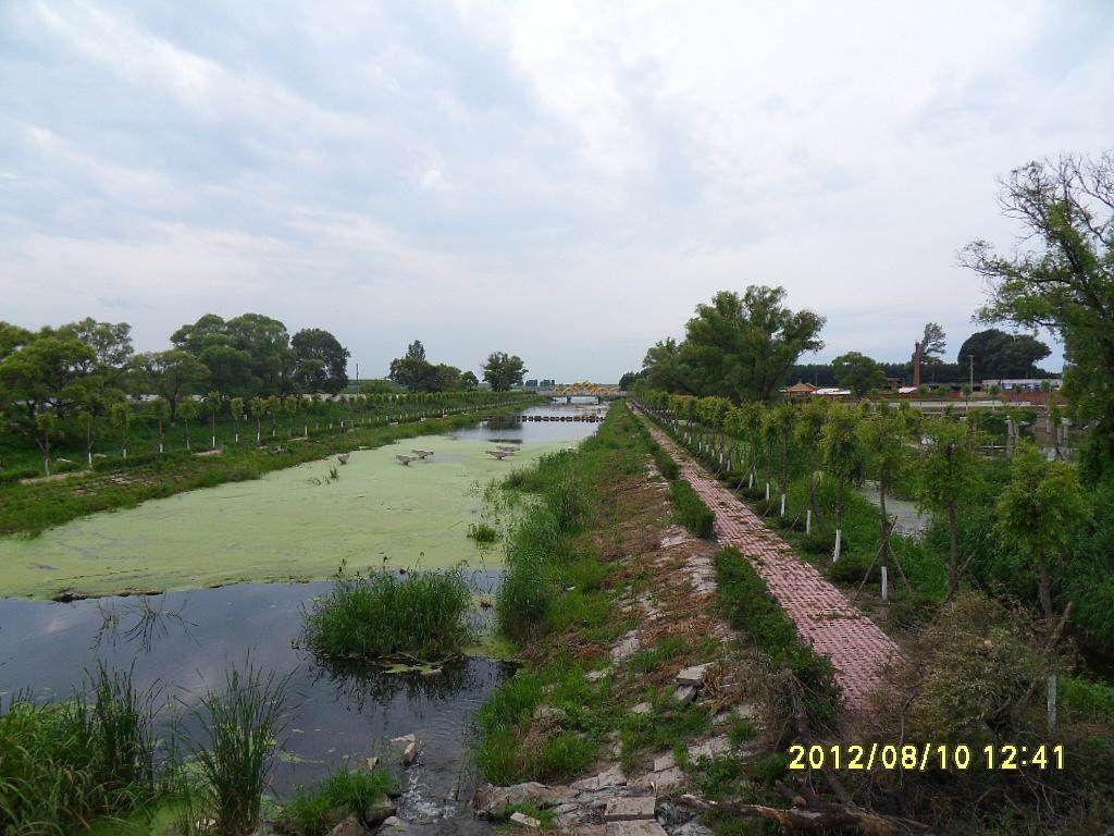 SDC11153.jpg