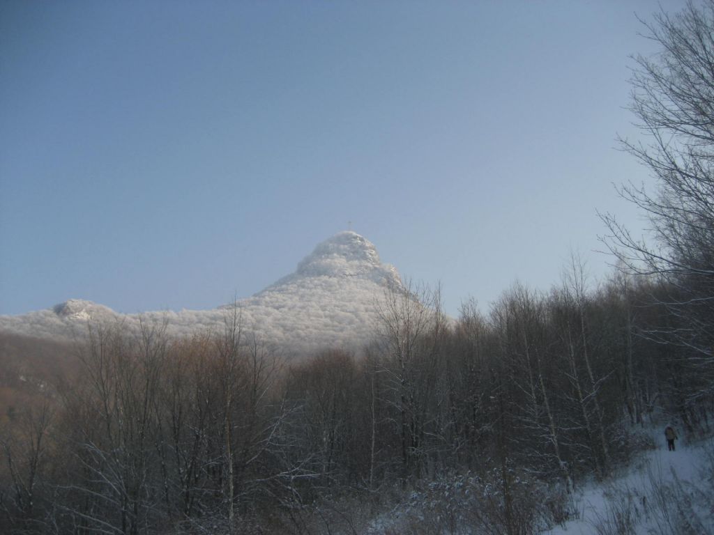 IMG_5940.JPG